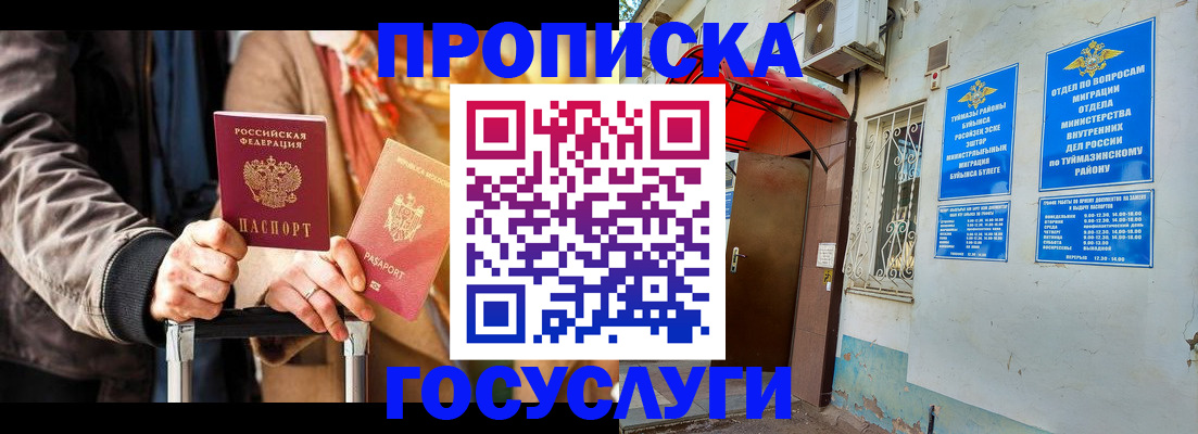 прописка гарантия в Пионерском